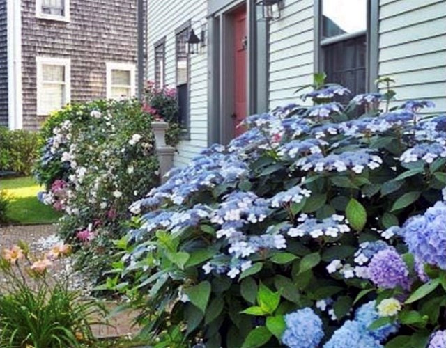 Classic Comfort in Naushop—Pool, Tennis, Pickle Ball