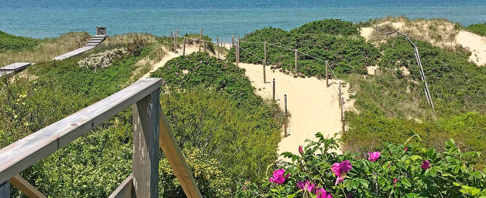 Don't miss these spots when you spend a day on Nantucket!