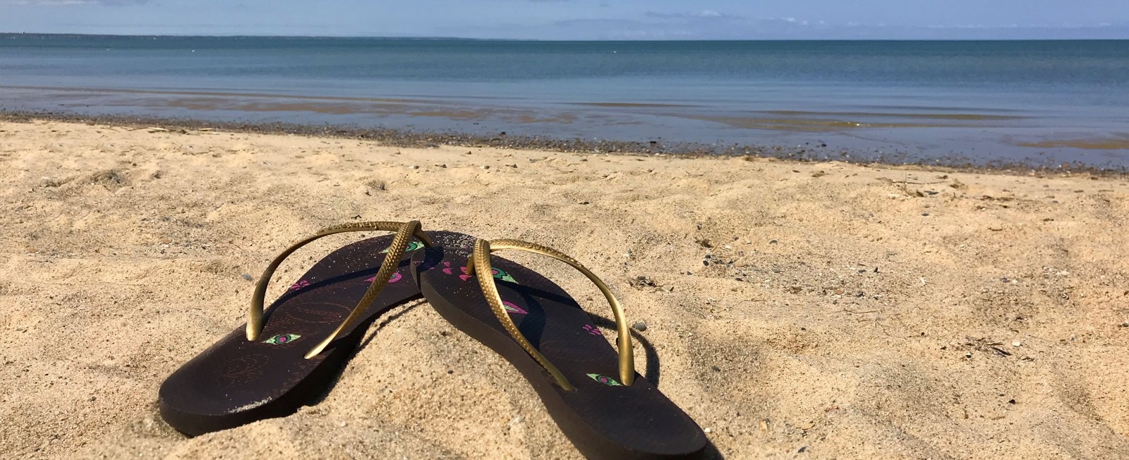 A born-and-raised Cape Cod local shares exactly what she'd do in August — from live music and lighthouses to whale watching and the best lobster rolls of the season. Updated every year.