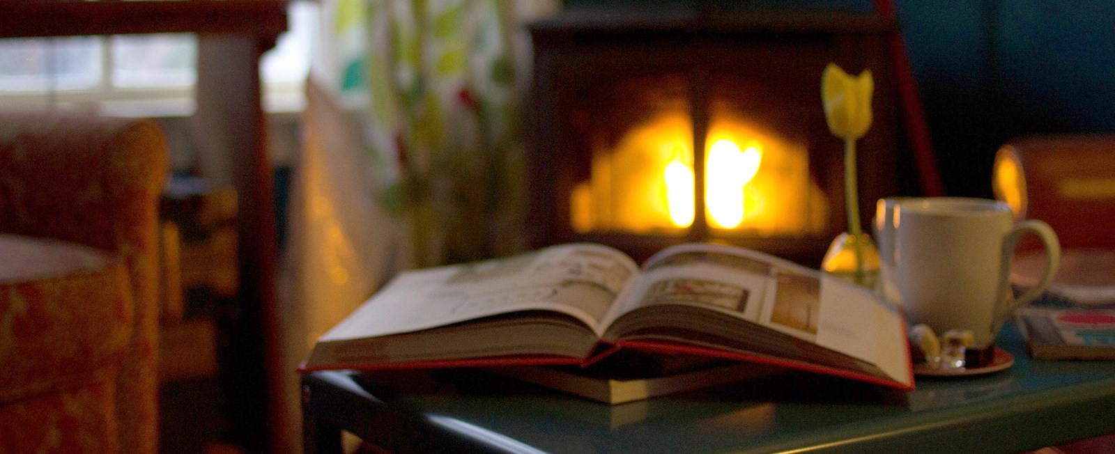 Whether it be a way to pass cold winter days or a companion on the beach—books are the way to go. We have many fantastic bookstores on the Cape & Islands that are worth a visit!