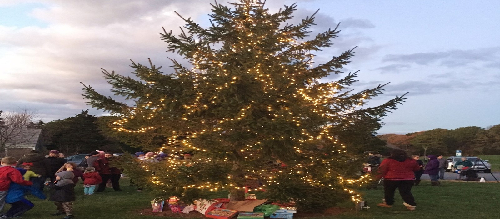 Each season, the Tree and Windmill Lighting Ceremony at Drummer Boy Park kicks off Brewster for the Holidays. We have a very personal connection to that tree, in fact, we planted it.