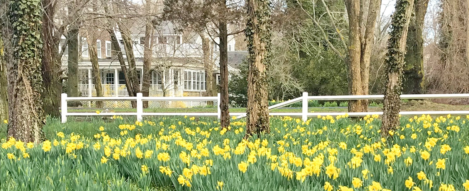 Brewster in Bloom is back and better than ever! Celebrate the arrival of springtime with the fun festivities taking place at the beginning of May.