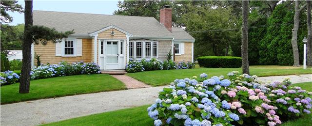 3 Bedroom Chatham Rental with Mid July Availability 