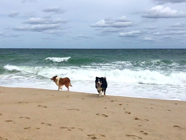 All are welcome back on the beaches 