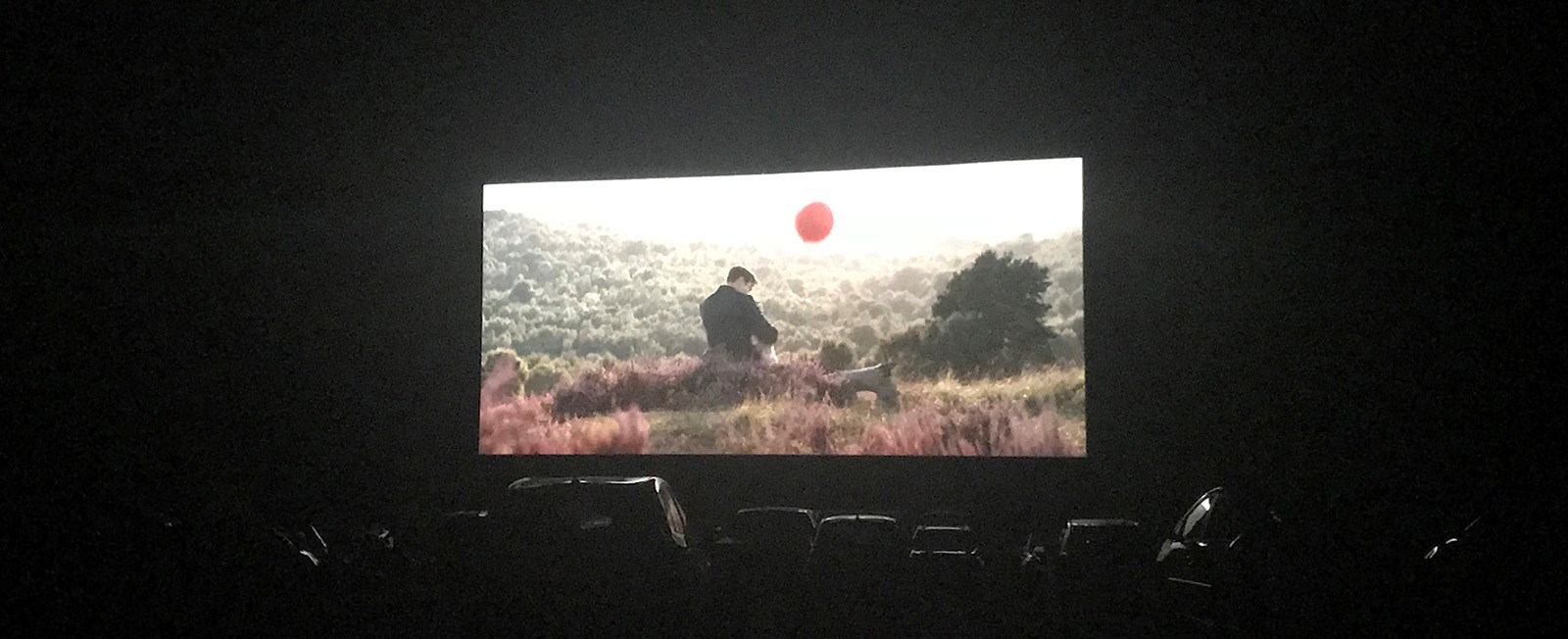 Everyone needs to experience a drive-in movie at least once in their life!