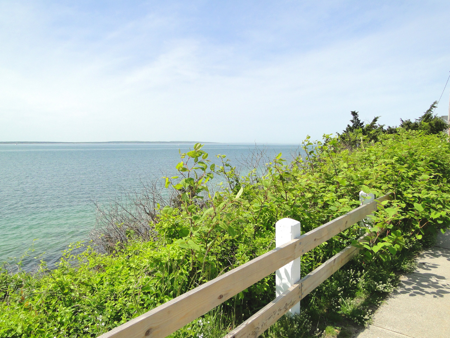 Falmouth Road Race Cape Cod