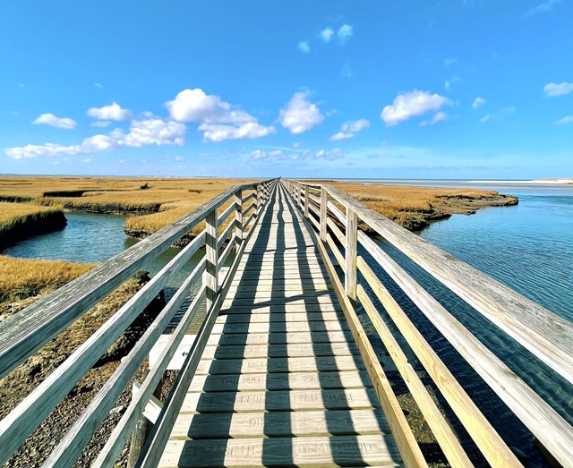 12 Most Beautiful Places in Cape Cod to Visit - Global Viewpoint