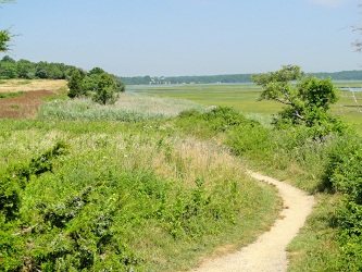 Off-season is an ideal time to explore the unique and spectacular landscape on foot and up close.