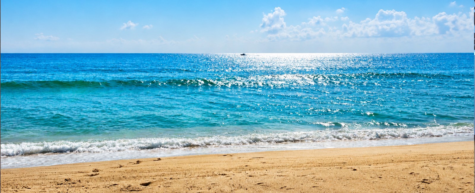 A born-and-raised Cape Cod local shares exactly what she'd do in June — from CCBL games and clam shacks to the best beaches before the crowds arrive. Updated every year.