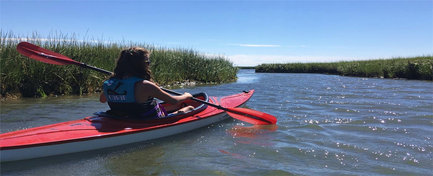 The Cape and Islands are busy in the summer, we all know that. This summer I made a meaningful discovery. Despite the crowds and the gatherings, there are so many places to take time for quiet, enjoyable solitude.