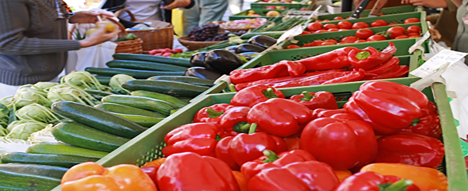 Farmers' Markets, Pick Your Own Produce, and More!