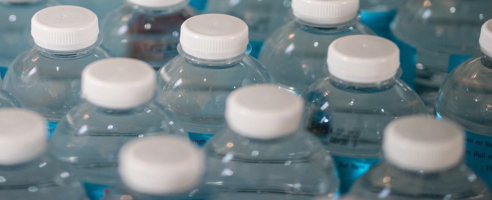 The Ban of Single-Use Plastic Water Bottles