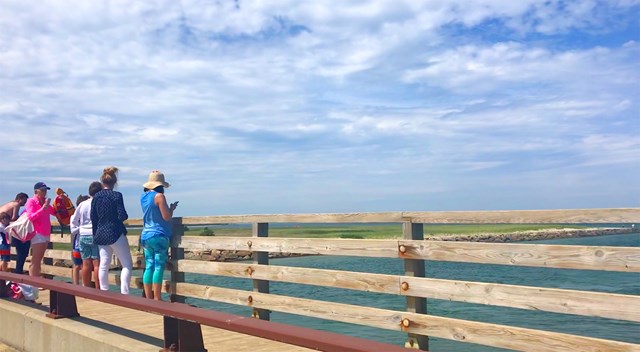 Jumping off the Jaws Bridge on Martha’s Vineyard