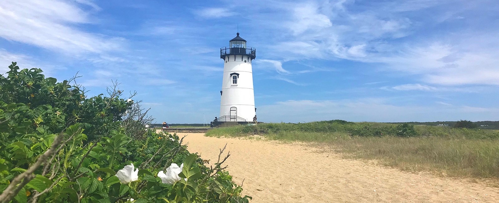 Some of the best things in life —and the Cape and Islands—are free! Enjoy these free Cape Cod activities.