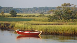 Although saltwater marshes are certainly not unique to the Cape and Islands, they greatly contribute to what makes the scenery and wildlife here so beautiful and special.  The deep and varied hues of green, often complemented by the blues of sky and water, are changeable and alluring. 