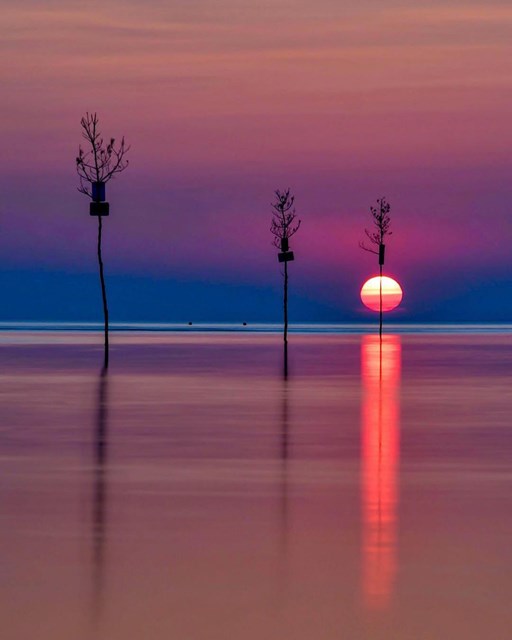 Beautiful Beaches of Cape Cod