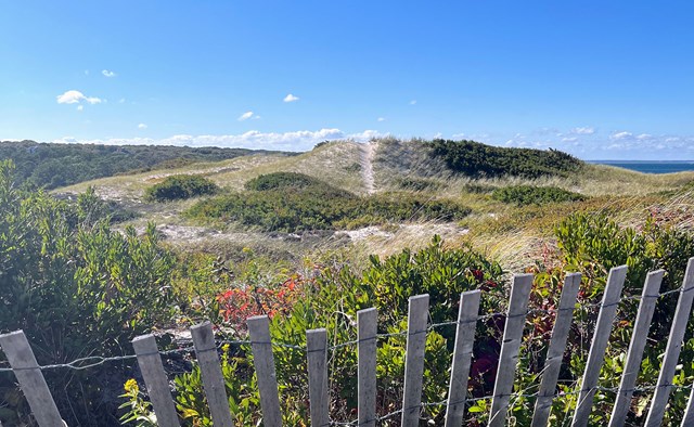 Exploring the Upper Cape