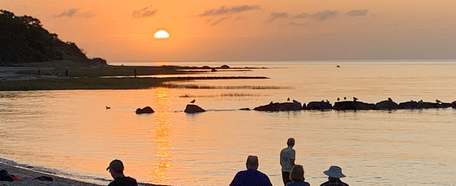A born-and-raised Cape Cod local shares exactly what she'd do in September — from fall festivals and cranberry bogs to Plymouth day trips and the magic of Second Summer. Updated every year.