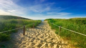 Sending bits of Cape Cod, Martha's Vineyard and Nantucket to you