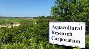 A.R.C. Hatchery in Dennis