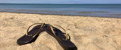 Cape Cod August Guide