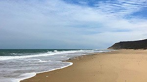 Cape Cod Second Summer: Why September Is the Best Time to Visit