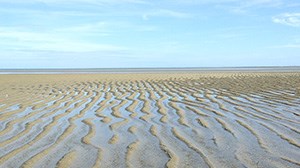 The Flats of Cape Cod
