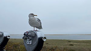 A Fall Day Trip in Chatham