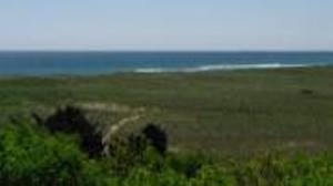 Cape Cod National Seashore