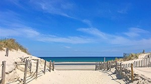 The Beaches of the Town of Dennis