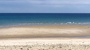 The Beaches of the Town of Sandwich