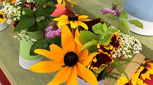 Cape & Islands Farmers Markets