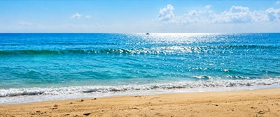 Cape Cod June Guide