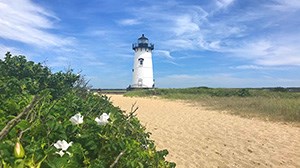 Free Activities on Cape Cod