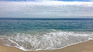 What to do in a day in Orleans