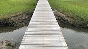 What to do in a day in Sandwich