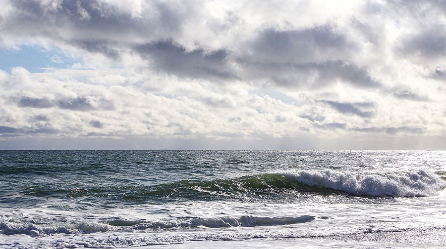 Celebrate the slowing down of the summer season on Martha's Vineyard with these awesome events!