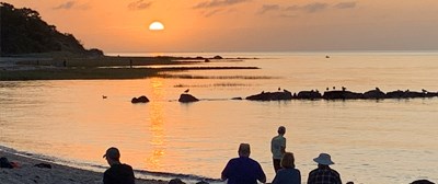 A born-and-raised Cape Cod local shares exactly what she'd do in September — from fall festivals and cranberry bogs to Plymouth day trips and the magic of Second Summer. Updated every year.