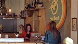 Delicious food in a cozy setting | Sunbird, Orleans