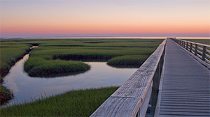 10 Instagram-Worthy Spots: Best Places to Take Pictures on Cape Cod