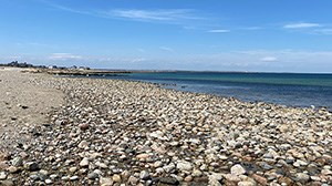 Things to Do in Sandwich