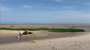Exploring Cape Cod Tide Pools