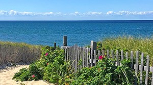 The Beaches of the Town of Truro