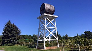 Food and Drinks of the Cape