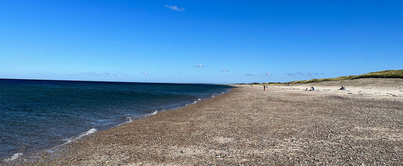 The Upper Cape is comprised of lovely boutique shops, peaceful and serene beaches, highly-praise seafood restaurants, and so much more. Explore all this region of Cape Cod has to offer!