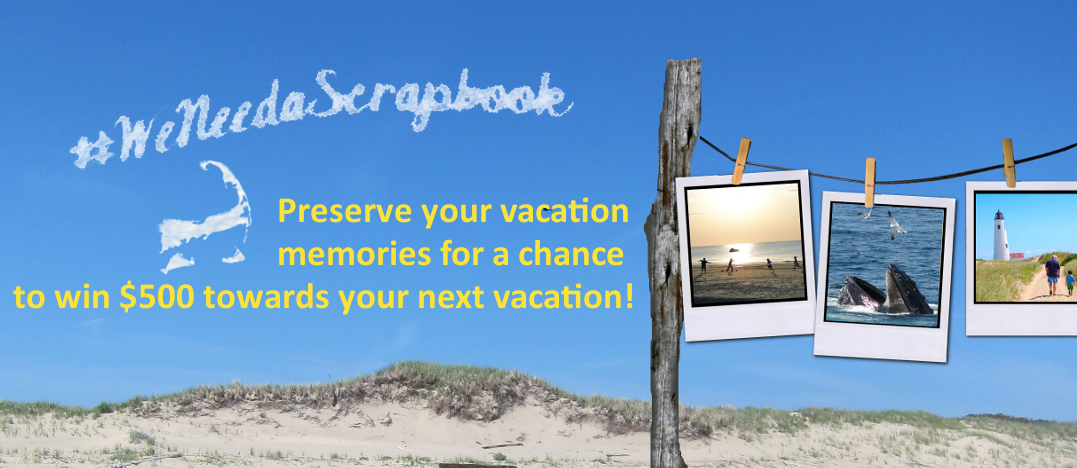 A vacation on Cape Cod, Martha’s Vineyard, or Nantucket is always a wonderful experience that creates many special memories. We have gathered a few unique and fun ways for you and your family to bring your memories home with you.