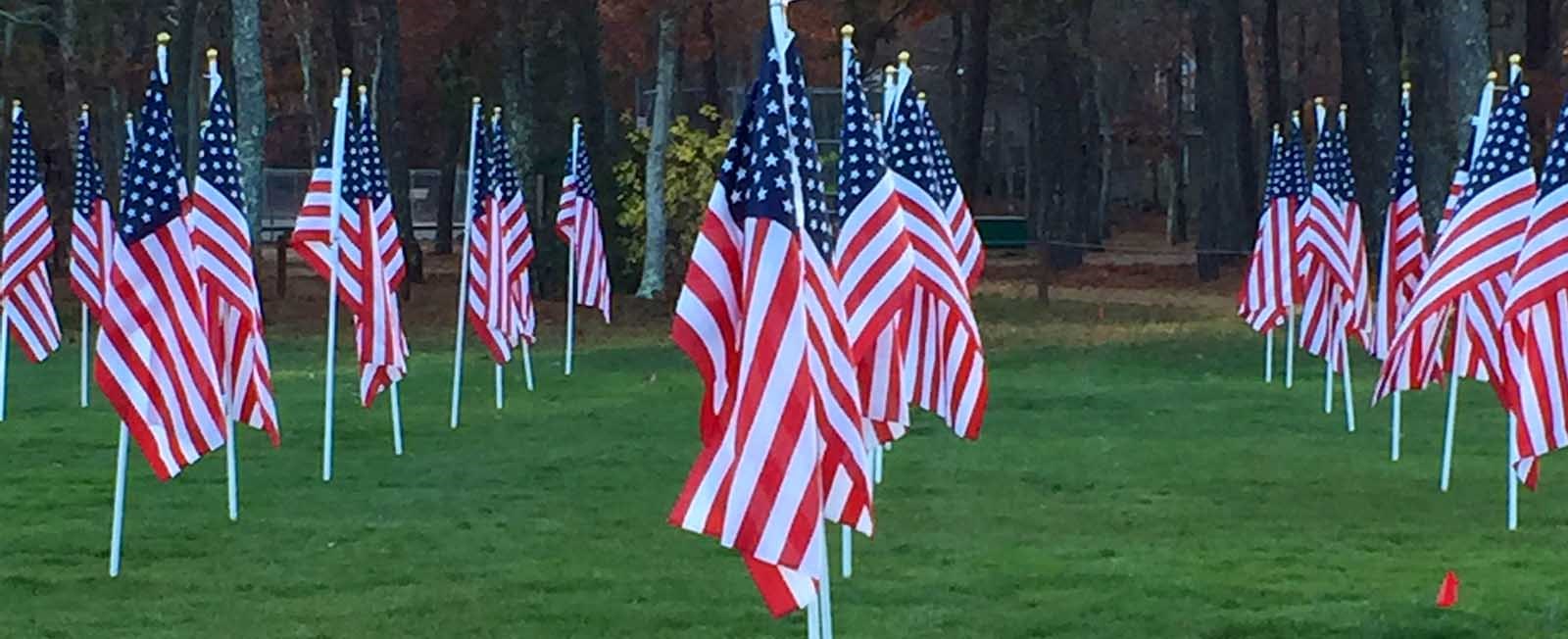 Veterans Day is coming up. Here are some local events honoring the brave men and women who served in the United States Armed Forces.