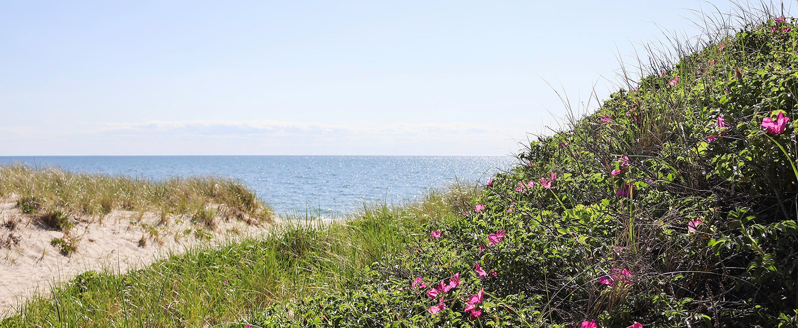 While a wedding is an occasion you'll remember no matter the circumstances, it'll be all the more memorable when turned into an entire weekend spent on Cape Cod! Check out WeNeedaVacation's recommendations when it comes to planning your wedding weekend!