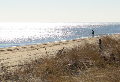 Gather together on a deck in New Seabury