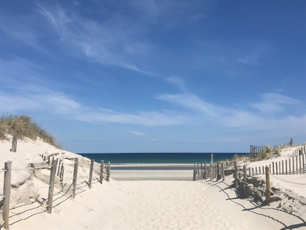 get back to cape cod and the islands